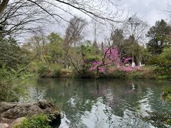 -花溪公园