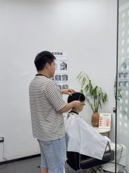 -T8 SALON