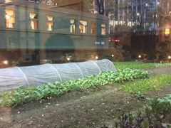 -上海老站(徐家汇店)