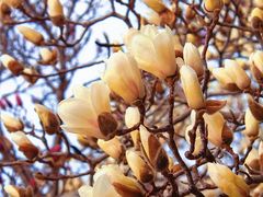 -山东大学(趵突泉校区)