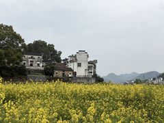 -新安江山水画廊风景区