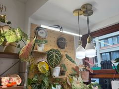 -茶百道(春熙路银石广场店)