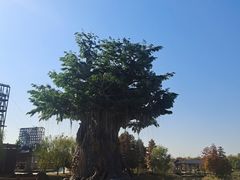-董永七仙女文化园
