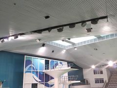 -重庆市奥林匹克体育中心-游泳跳水馆