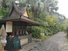 -厦门日月谷温泉渡假村