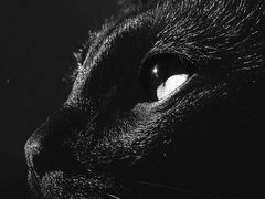 -千安奢侈品回收名表维修名包珠宝护理