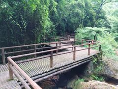 -赤水丹霞旅游区·佛光岩