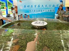 -鑫日千里马朝鲜族小馆(总店)