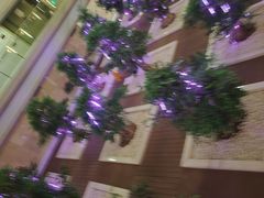 -南京禄口机场雅高铂尔曼大酒店