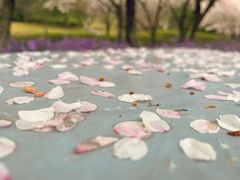 -白塘生态植物园