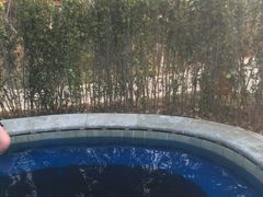 -大连金石滩绿发温泉假日酒店