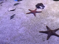 -多彩贵州城极地海洋世界