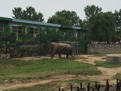 -西安秦岭野生动物园