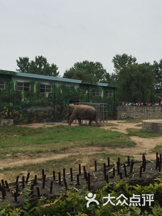 西安秦嶺野生動物園圖片 - 第1張