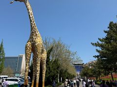 -西霞口神雕山野生动物世界