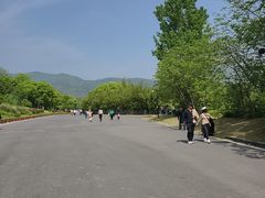 -习家池