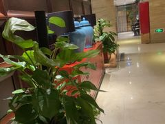 -洛阳宴·洛阳菜(南昌路店)
