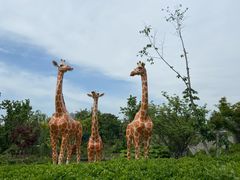 -奉浦四季生态园