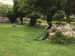-西昌邛海宾馆