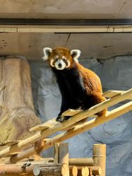 -Zoolung Zoolung动物主题公园(海信广场店)