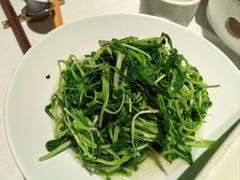 清炒鸡毛菜-苏帮袁Sue Cuisine(来福士店)