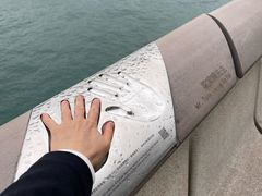 -星光大道
