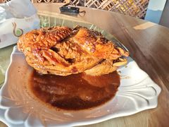 -陈岱后山窑鸡店