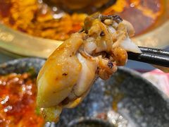 特色美蛙-哥老官重庆美蛙鱼头(宝山龙湖店)