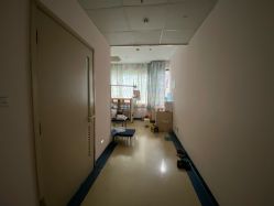 -复旦大学附属儿科医院
