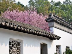 -八大山人梅湖景区