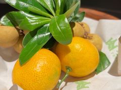 -季季山·云南野生菌火锅(上海首店)