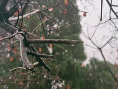 -石门坊