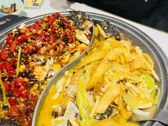 -锦尚阁烤鱼(望京新荟城店)