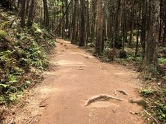 -大罗山风景区