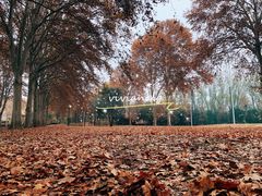 -河南省黄河迎宾馆