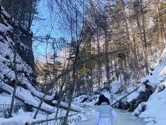 -峡谷浮石林景区
