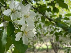 -长春公园(普阳街道)