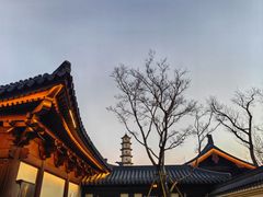 -江心屿景区
