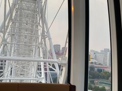 -富华游乐园