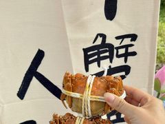 -丫丫蟹庄·苏式园林农家乐·阳澄湖大闸蟹(阳澄湖莲花岛店)