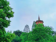-宝通禅寺