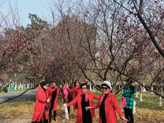 -白塘生态植物园