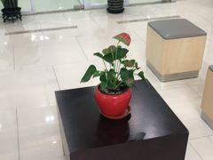 -中国民生银行(虹桥支行)