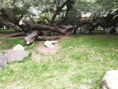 -宗角禄康公园