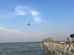 -东堤公园