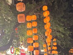 -广州长隆国际大马戏