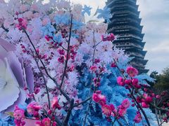 -红梅公园