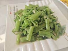 -长兴太湖图影湿地文化园