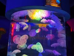 -太平洋海底世界