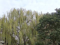 -名骏车业(园区星明店)